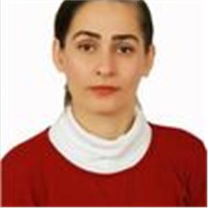 Atefeh Hosseini Safvvat