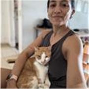 Clases particulares virtuales de todas las ramas del derecho