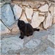 Französisch Nachhilfe online für 5.-7. Klasse