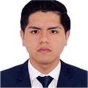 Profesor de física en todos los niveles (escolar, pre-universito y universitario)