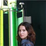 He estudiado el bachillerato artístico y me encantaría poder enseñar el arte a los más peques