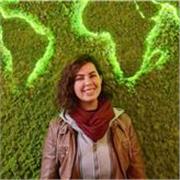 Original insights for proficiency with a Brazilian Portuguese teacher / Experience a true cultural immersion while learning
