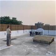 Cours de Hatha yoga, yin, mobilité douce