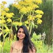 Experienced English-Speaking Homework Tutor for School Students in Catania and Online
