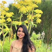 Experienced English-Speaking Homework Tutor for School Students in Catania and Online