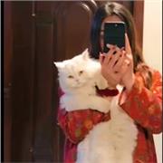 Ayesha