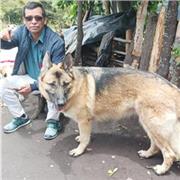 Profesor colombiano que dicta clases de matemática