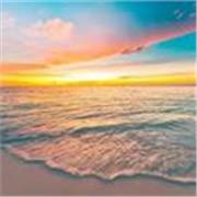 Clases online de Español – claras, personalizadas y dinámicas