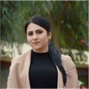 Professional English Instruction – BA and MA in English