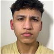 Profesor de Matemáticas de nivel básico (ONLINE)