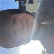 Murad