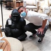 Insegnante esperto di lingue e materie classiche dà ripetizioni di storia, filosofia e letterature italiana, greca, latina e inglese