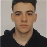 Profesor de matemáticas apto para primaria y secundaria 