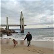 Profesor de primaria soto para todas las edades, también alguna materia del secundario enseñanza a mis hijas y compañeros