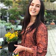 Lindie