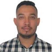 profesional en seguridad y salud en el trabajo