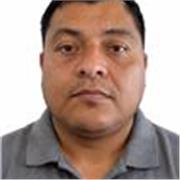 Maestro de fundamentos de programación con experiencia