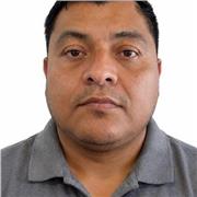 Maestro de fundamentos de programación con experiencia