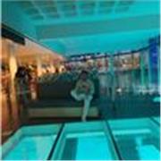 Como una persona proactiva y con buen desempeño en lo q hago