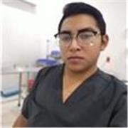 Maestro de español para complemento del aprendizaje preescolar