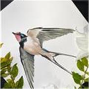 Profesora de ilustración en acuarela con más de 3 años de experiencia conmigo aprenderás sobre dibujo y técnicas de color