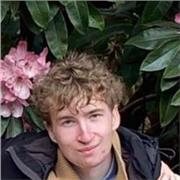 Maths tutor for pupils studying at GCSE & A-Level