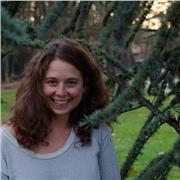 Cours de soutien scolaire et aide aux devoirs