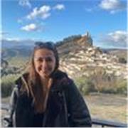Auxiliar de educación, doy clases de educación primaria