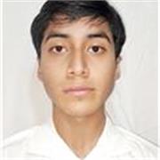 Profesor de matemáticas nivel básico - intermedio