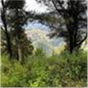 Envie d’apprendre le portugais ? Vous êtes tombé sur la bonne personne