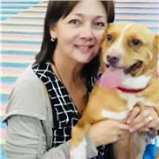 Profesora a domicilio para reforzamiento de lectura, escritura, matemáticas y proyectos escolares para estudiantes de Básica