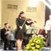 Laureata in violino offre lezioni private