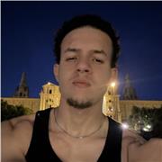 Profesor de inglés, clases particulares online
