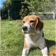 professeur particulier dynamique, pédagogue, respectueuse et très appliquée 