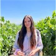 En Tusclasesparticulares estamos buscando maestros/as de Español, con o sin experiencia, para dar clases en línea a estudiantes de