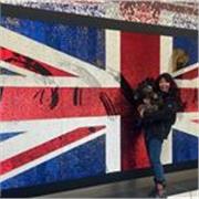 Bonjour, je vous propose des cours d'anglais adaptés à votre niveau et à vos objectifs : avant un séjour, un examen, 1présentation