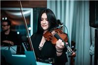 Temuco violinista con años de experiencia, realiza clases particulares de violín