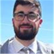 ingegnere elettronico, offre lezioni di matematica, fisica, elettronica, elettrotecnica, per studenti delle superiori in giù 