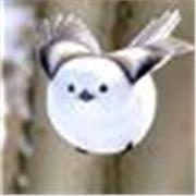 I offer careers-guidance to help you find the right path for you,working with your talents and natural interests