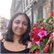 Maths tutor providing lessons for GCSE and grades below