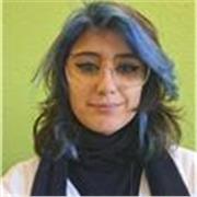 Professeur particulier pour apprendre l'anglais, tout niveaux de l'élementaire jusqu'au lycée 