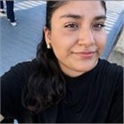 Técnica educación infantil y primaria. 
Clases de refuerzo en todo nivel de primaria, me adapto a las necesidades de cada niño.