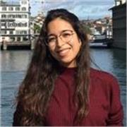 Clases particulares económicas y efectivas tanto de refuerzo (Primaria y E.SO) como de inglés, francés y español para todas las edades
