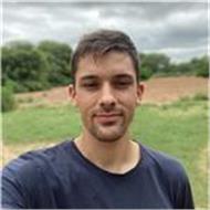 Daniel