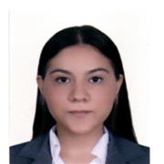 Soy profesora de arte, especialista en el sentido arte, el cine