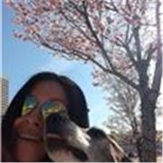 Online lessons Spanish/English