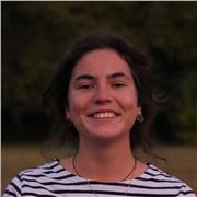 Aide au devoirs pour les enfants niveau primaire et collège (français, anglais, histoire