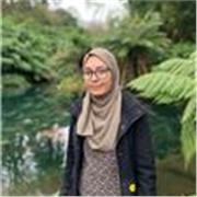 Experienced Maths Tutor, available online only