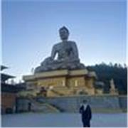 Clases de Matemática, Física y Química – Apoyo escolar y preparación PAES (presencial y online)