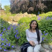 Maths tutor providing lessons to all ages below 16